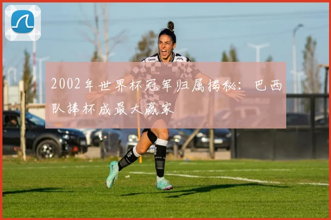 2002年世界杯冠军归属揭秘:巴西队捧杯成最大赢家