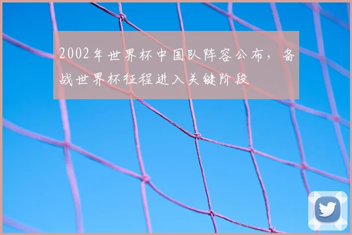2002年世界杯中国队阵容公布，备战世界杯征程进入关键阶段