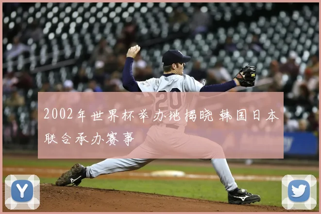 2002年世界杯举办地揭晓 韩国日本联合承办赛事