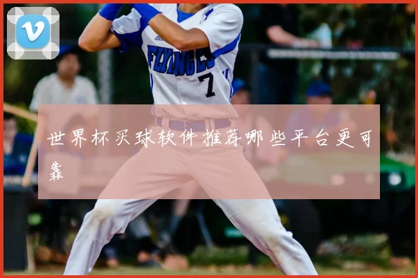 世界杯买球软件推荐哪些平台更可靠