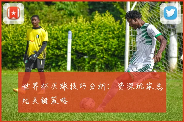 世界杯买球技巧分析:资深玩家总结关键策略
